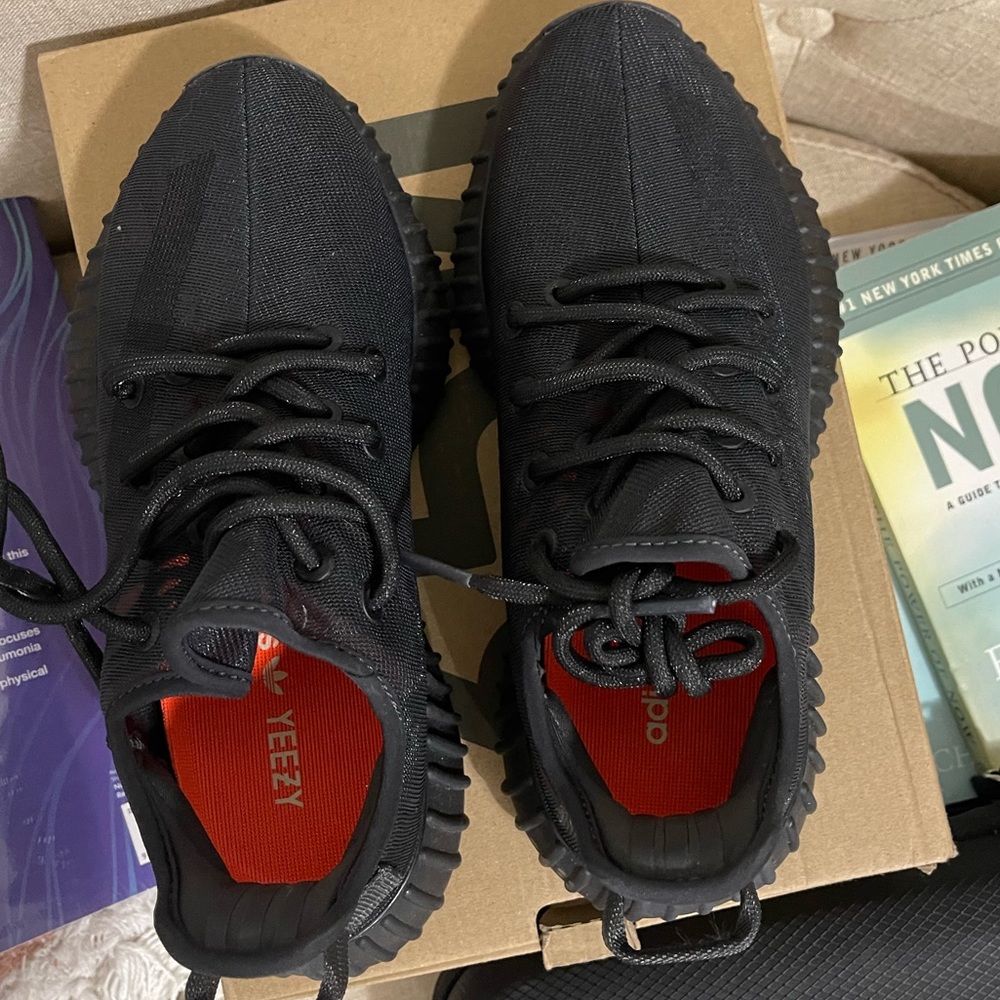 Yeezy boost 350